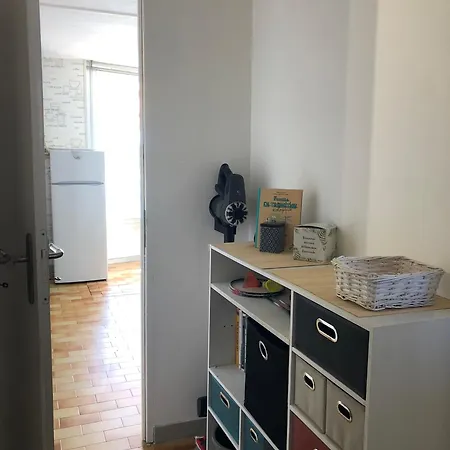 Ile Des Pecheurs Vue Mer Apartment Agde